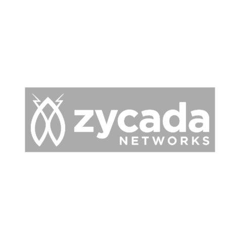 Zycada Networks
